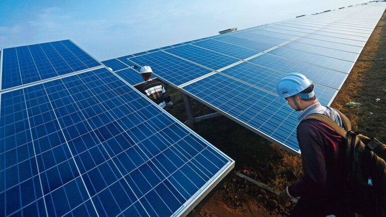 Global Solar Investment To Reach $380 Bn in 2023: Ajay Mathur, International Solar Alliance