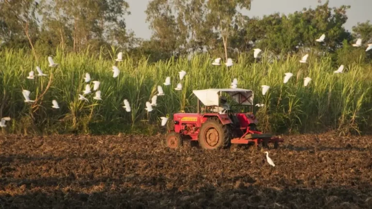 Government Promotes Electric Tractors For Sustainable Farming