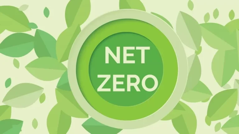 Net Zero: Transforming Economies For Livable Earth