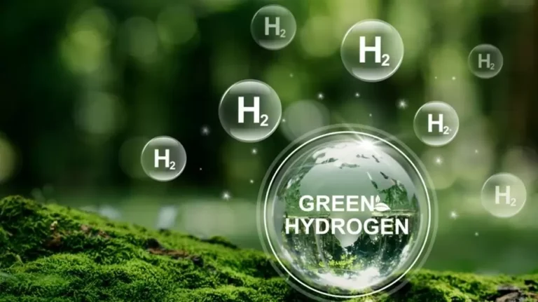 Renew Unveils 2GW Green Hydrogen Project In Kerala