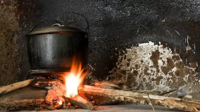 CSE Report: 41% Of Indians Still Rely On Biomass For Cooking Despite Access To LPG