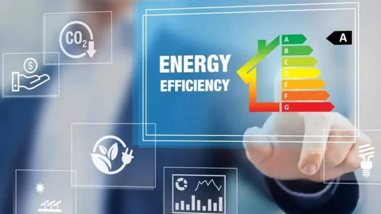 Doubling Energy Efficiency – A Path To Sustainable Development For India