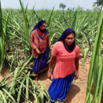 Women, Children Bear Climate Change’s Brunt Across India’s Agroecological Zones: Report