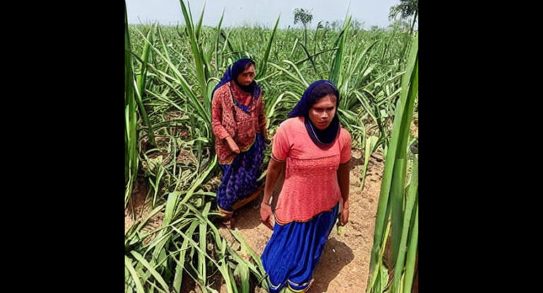 Wombless Villages: In Maha, Poor Women Opting For Hysterectomies To Survive