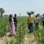 India Highlights EPR Progress At National Expo On Eco-alternatives & Plastic Waste Management