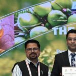 KPI Green Secures Rs 3,200 Cr SBI Financing For Gujarat Projects