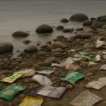 REC Bags Sustainability Icons Award 2025 For ESG Excellence