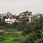 UN Rolls Out $4 Bn Fund To Protect Tropical Forests