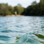 WOTR Sets Up Consulting Forum To Support CSR And Rural Development