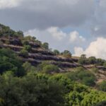 India Rallies Solar Alliance To Power Vulnerable Island Nations At COP30