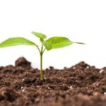 Carton Recycling In India Rises From 29% To 64% In A Decade: Study