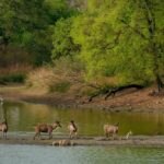 CERC Eases Grid Entry For Renewables With Key GNA Clarifications