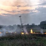 Water Scarcity May Emerge As India’s Biggest Economic Constraint, Says Former CWC Chairman